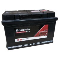 Dolphin Marine Batterie 70AH/12V CCA(-18C) 640A